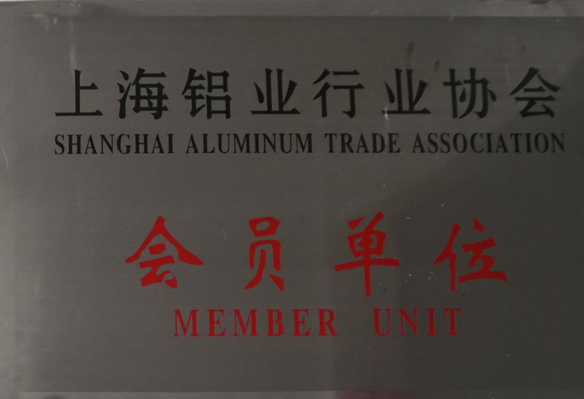 豐金銳榮譽(yù)資質(zhì)-中國(guó)鋁行業(yè)協(xié)會(huì)會(huì)員單位